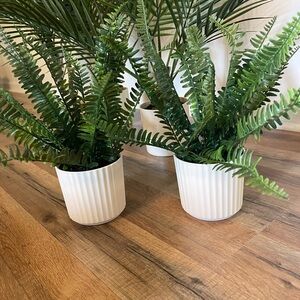 3 pots Mainstays 12in Indoor Artificial Boston Fern in Pot